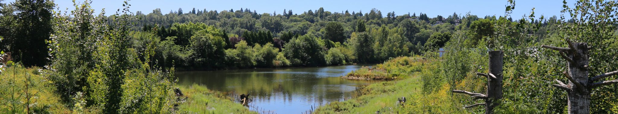 Banner-Duwamish Gardens - City of Tukwila